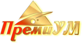 Логотип компании Центр видеонаблюдения ПремиУМ